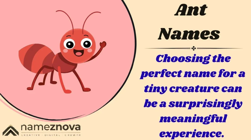Ant Names