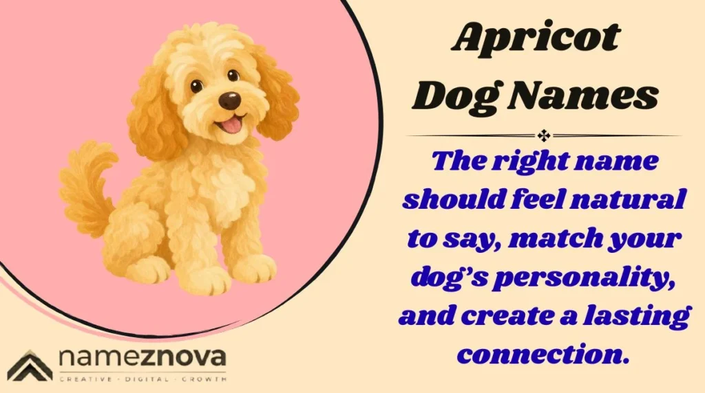 Apricot Dog Names