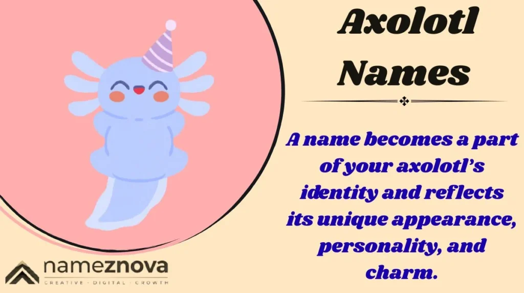 Axolotl Names