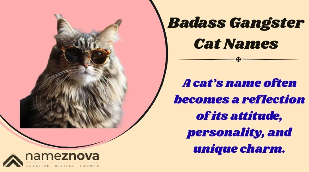 Badass Gangster Cat Names