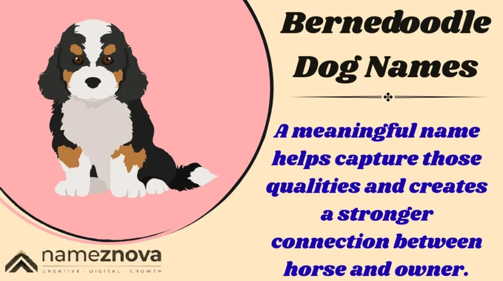 Bernedoodle Dog Names