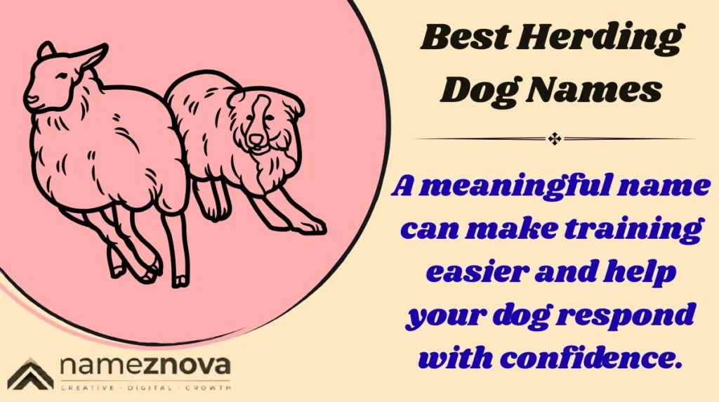 Best Herding Dog Names