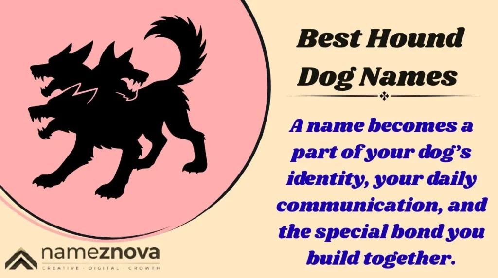 Best Hound Dog Names
