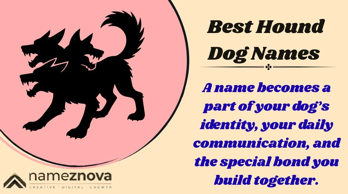 Best Hound Dog Names