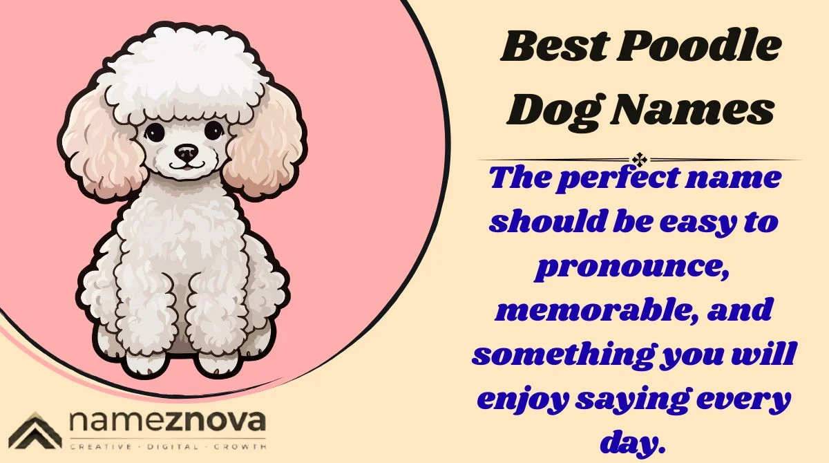 Best Poodle Dog Names