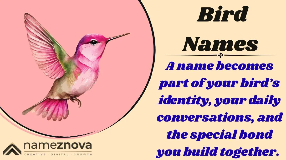 Bird Names