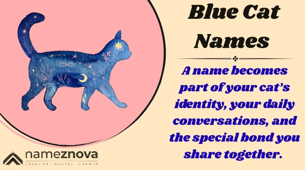 Blue Cat Names