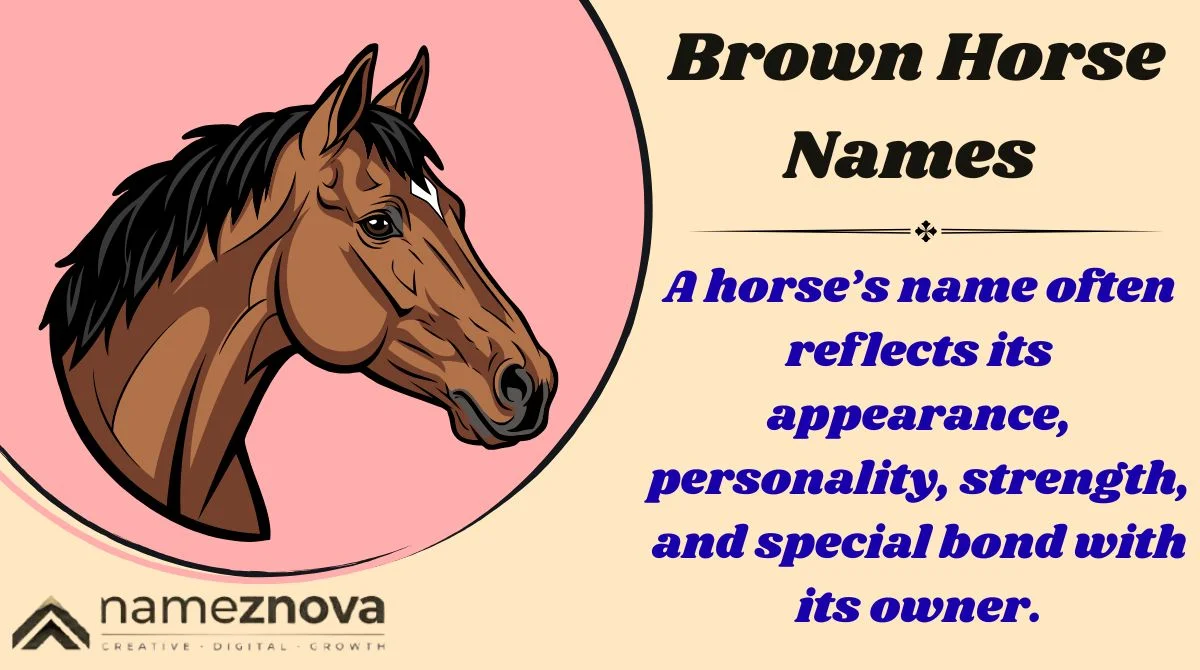 Brown Horse Names