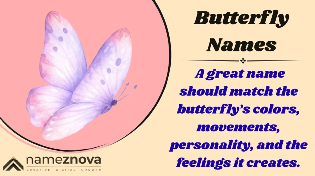 Butterfly Names