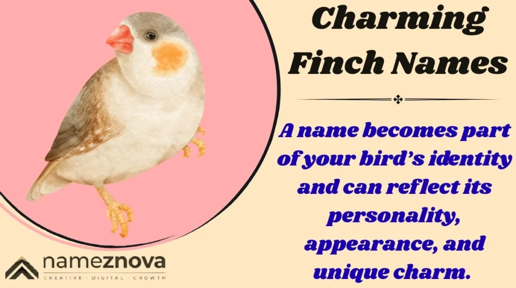 Charming Finch Names