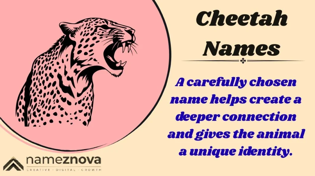 Cheetah Names