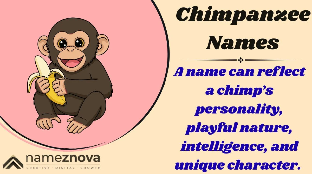 Chimpanzee Names
