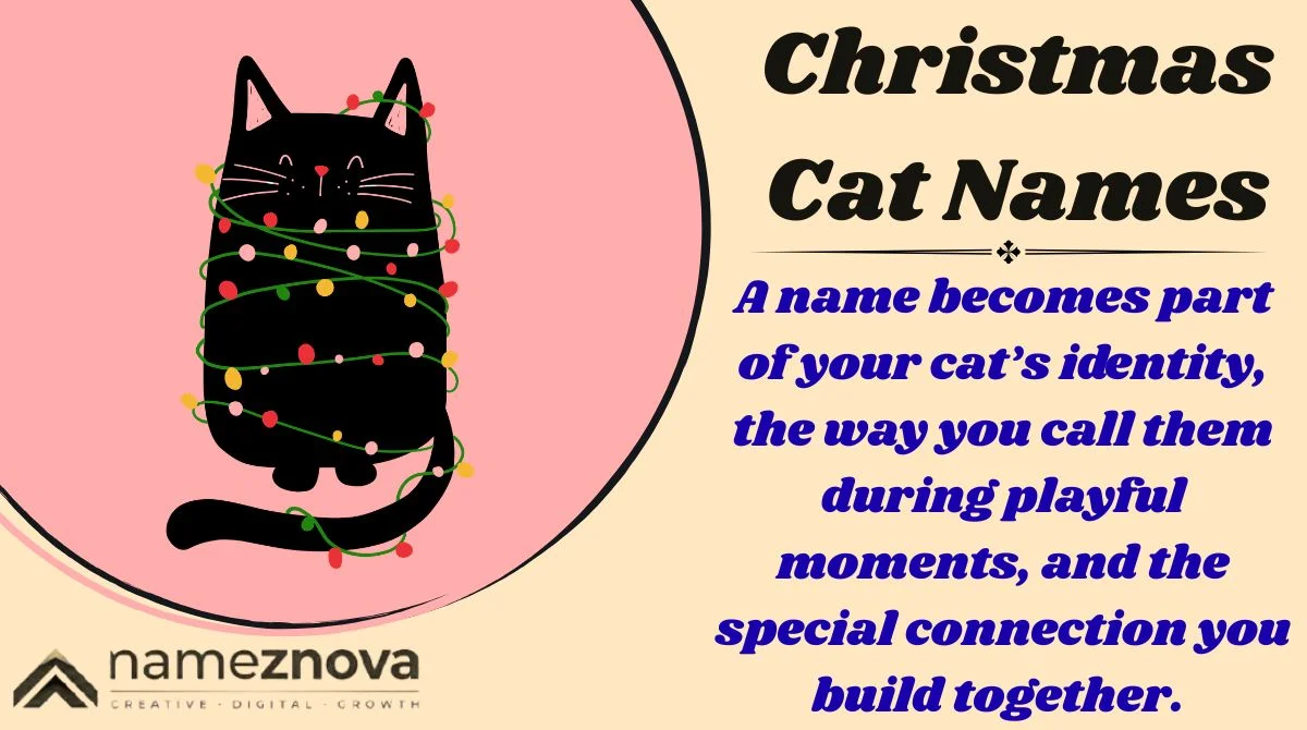 Christmas Cat Names