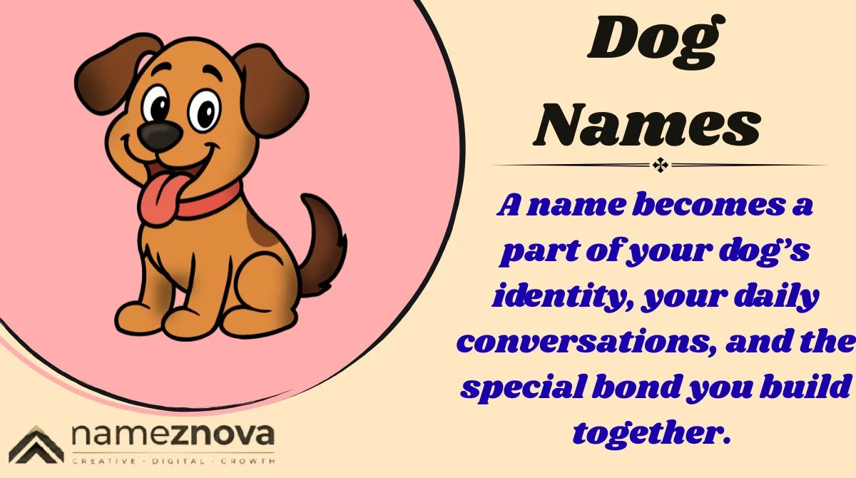 Dog Names