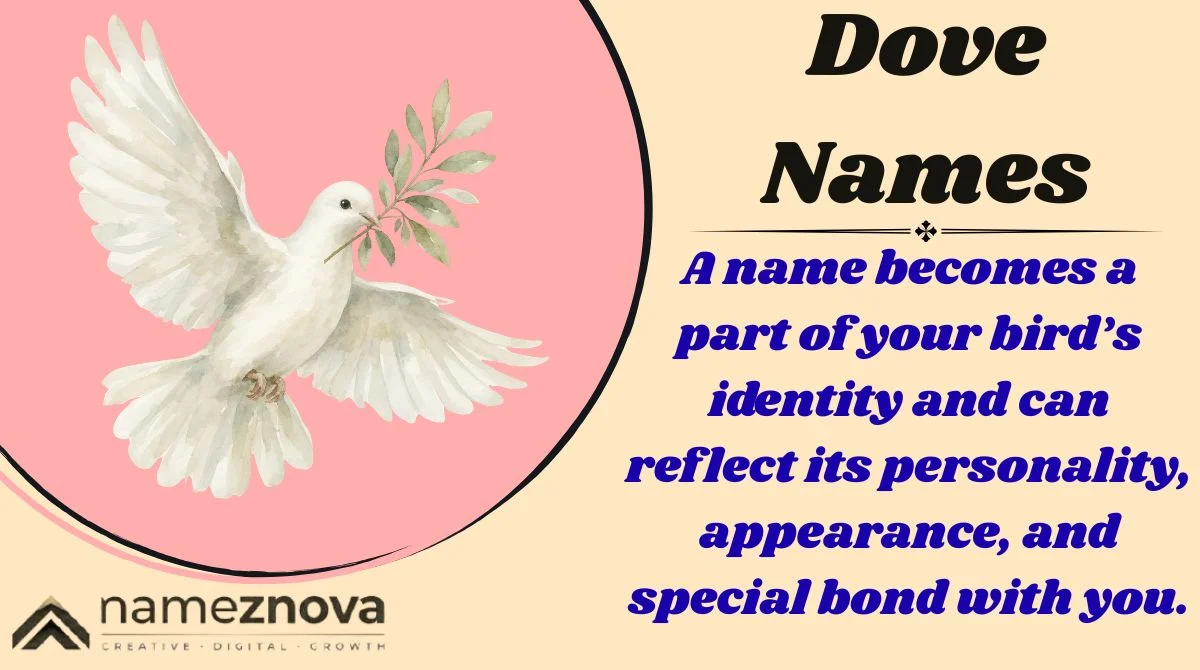 Dove Names