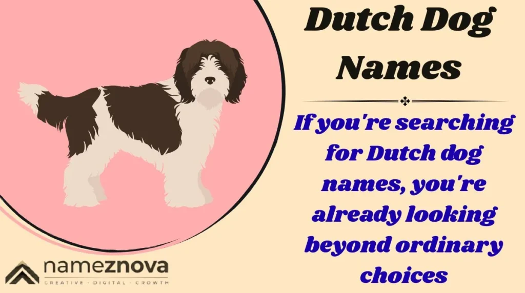 Dutch Dog Names