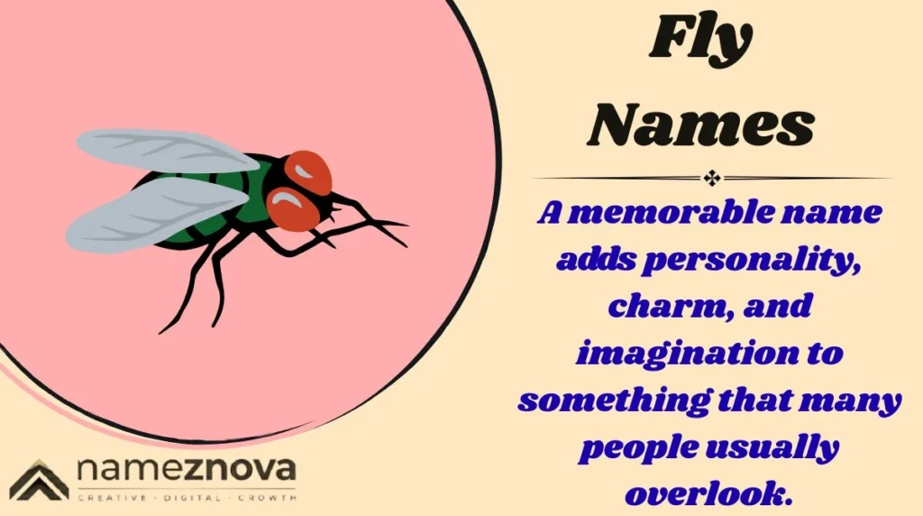 Fly Names