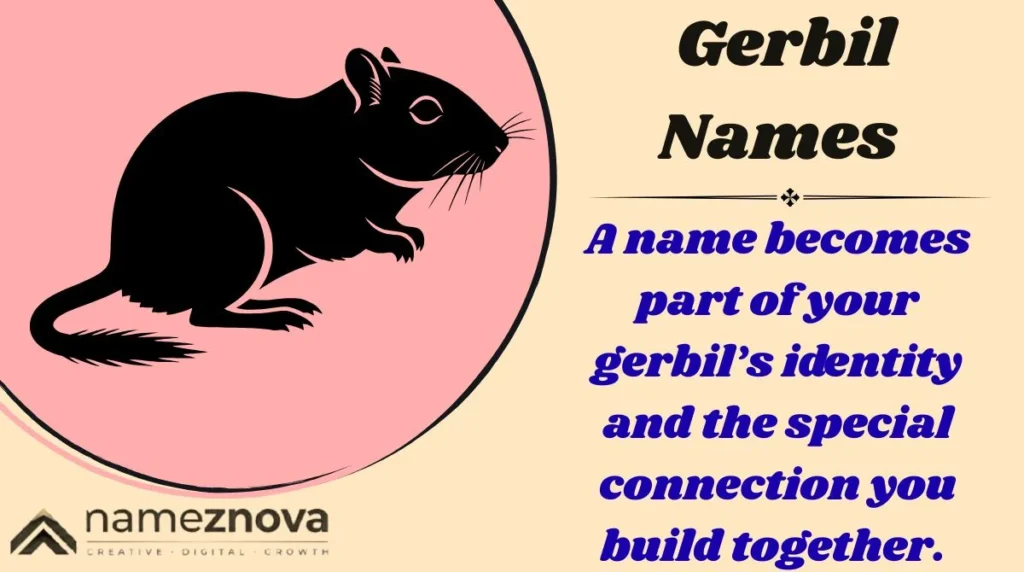 Gerbil Names