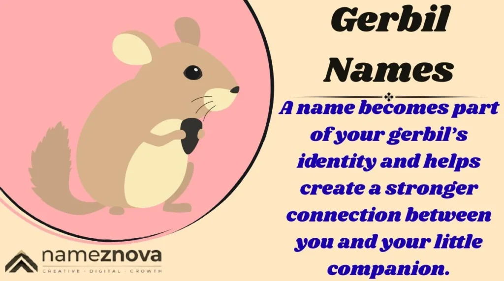 Gerbil Names