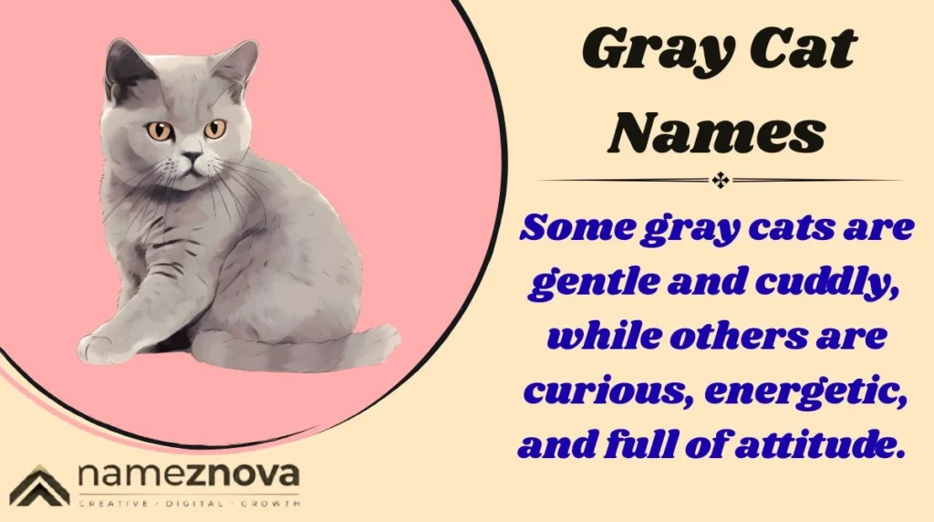 Gray Cat Names