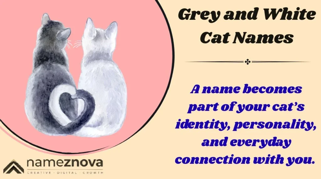 Grey and White Cat Names