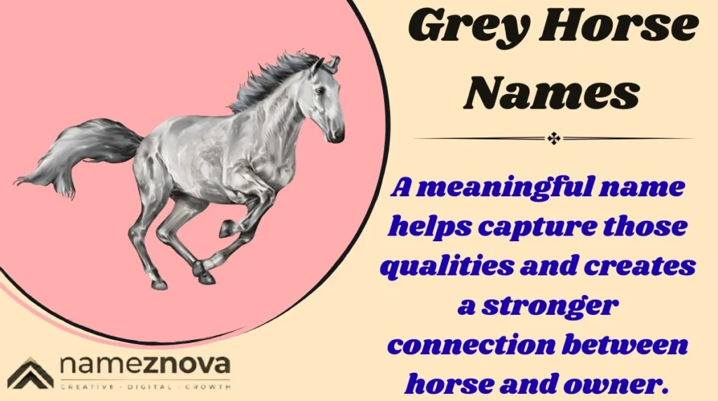Grey Horse Names