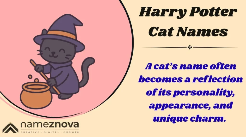 Harry Potter Cat Names
