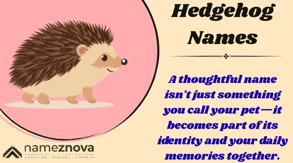 Hedgehog Names