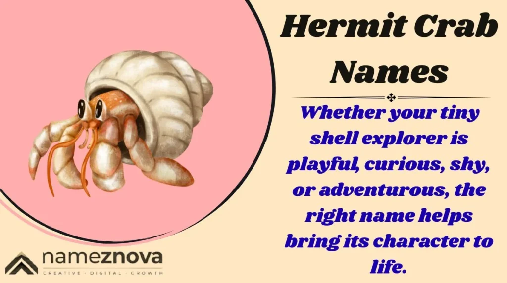Hermit Crab Names