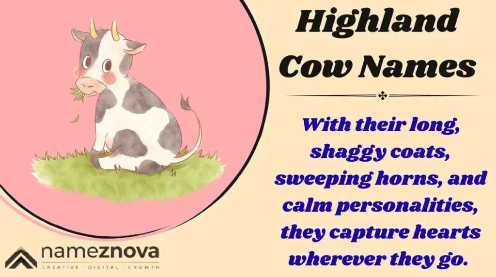 Highland Cow Names