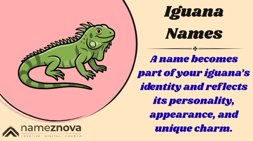 Iguana Names