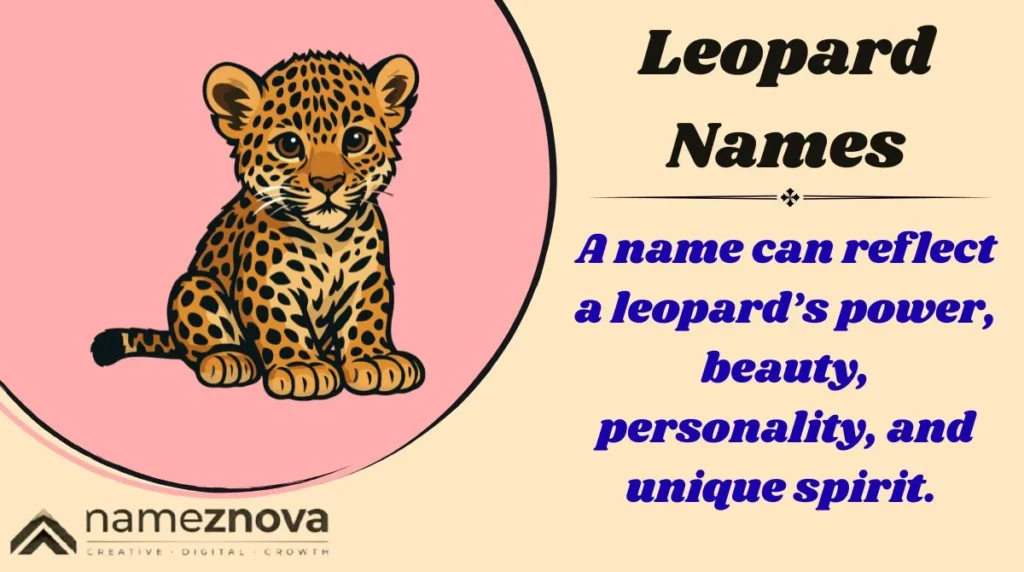 Leopard Names