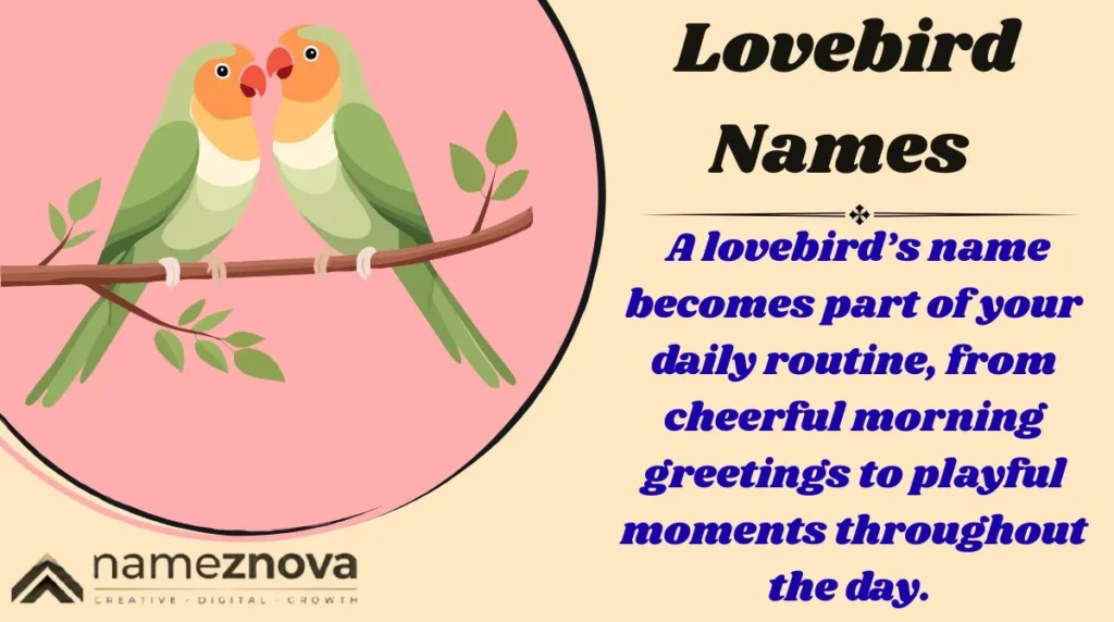 Lovebird Names