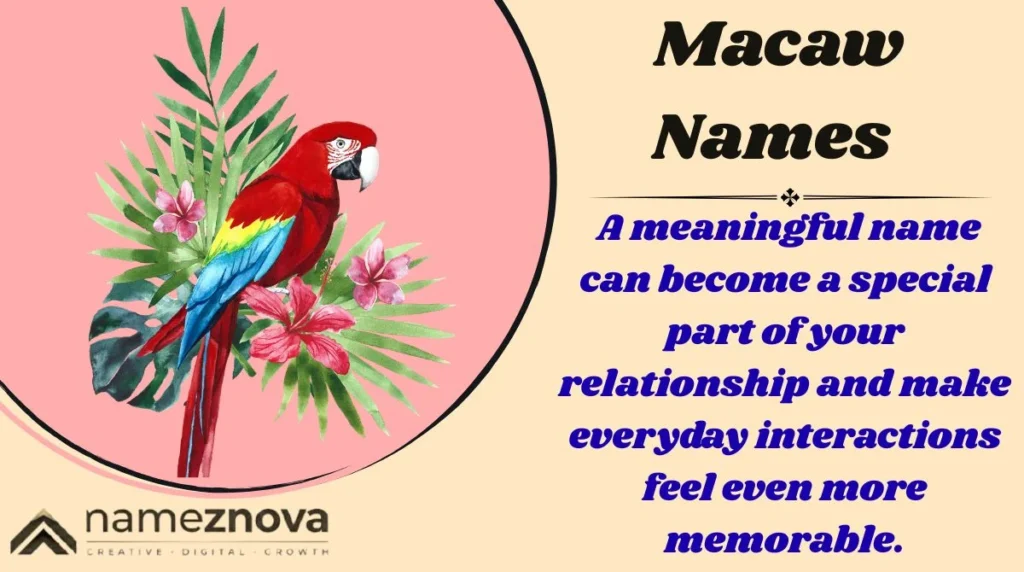 Macaw Names