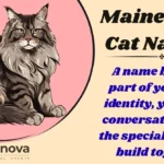 Maine Coon Cat Names