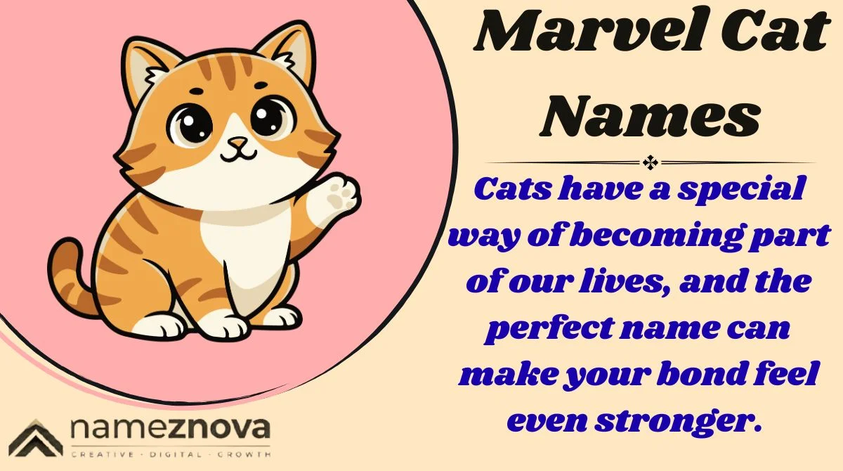 Marvel Cat Names