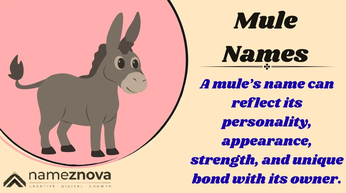 Mule Names
