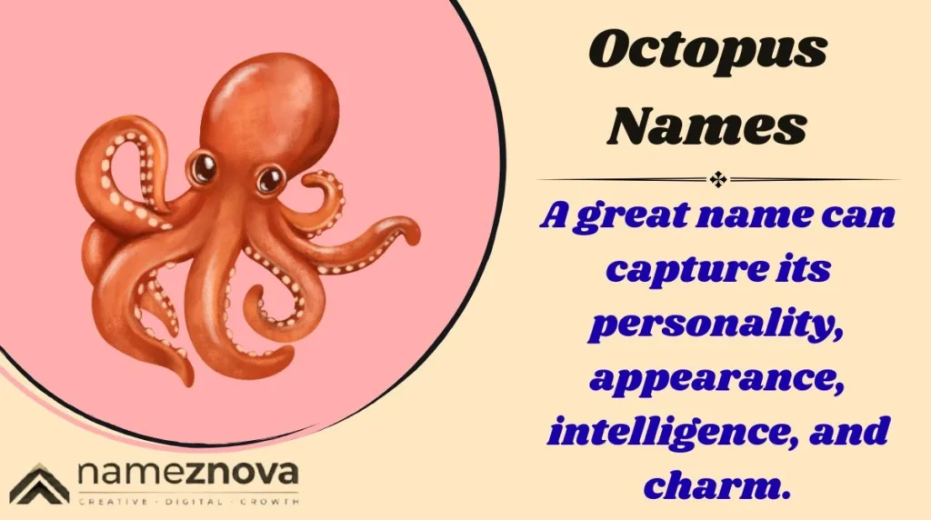 Octopus Names