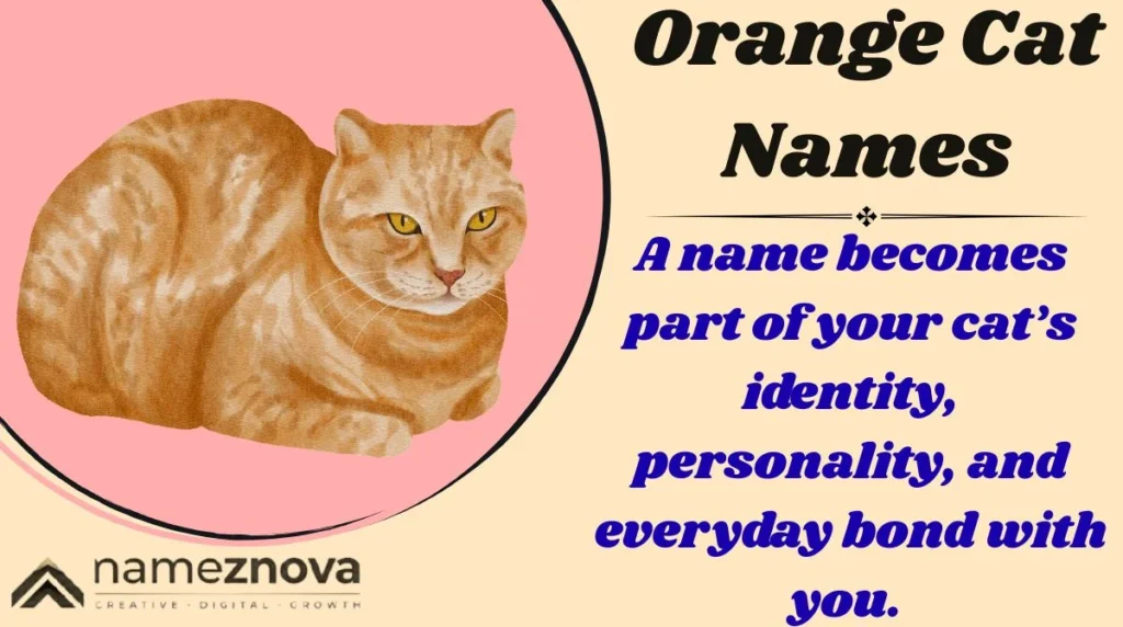Orange Cat Names