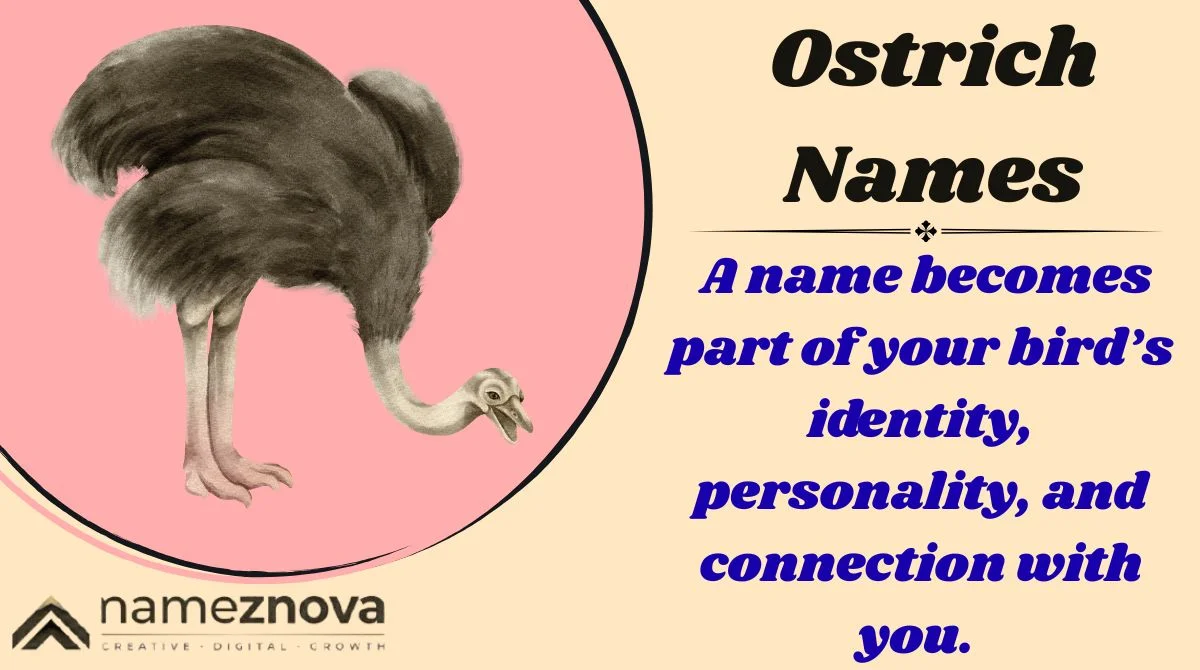 Ostrich Names