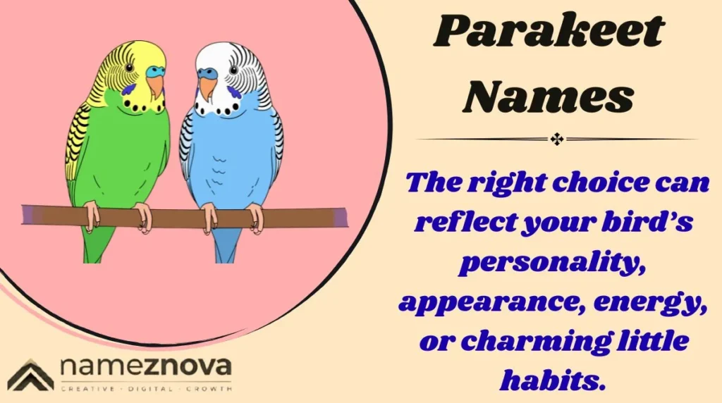 Parakeet Names