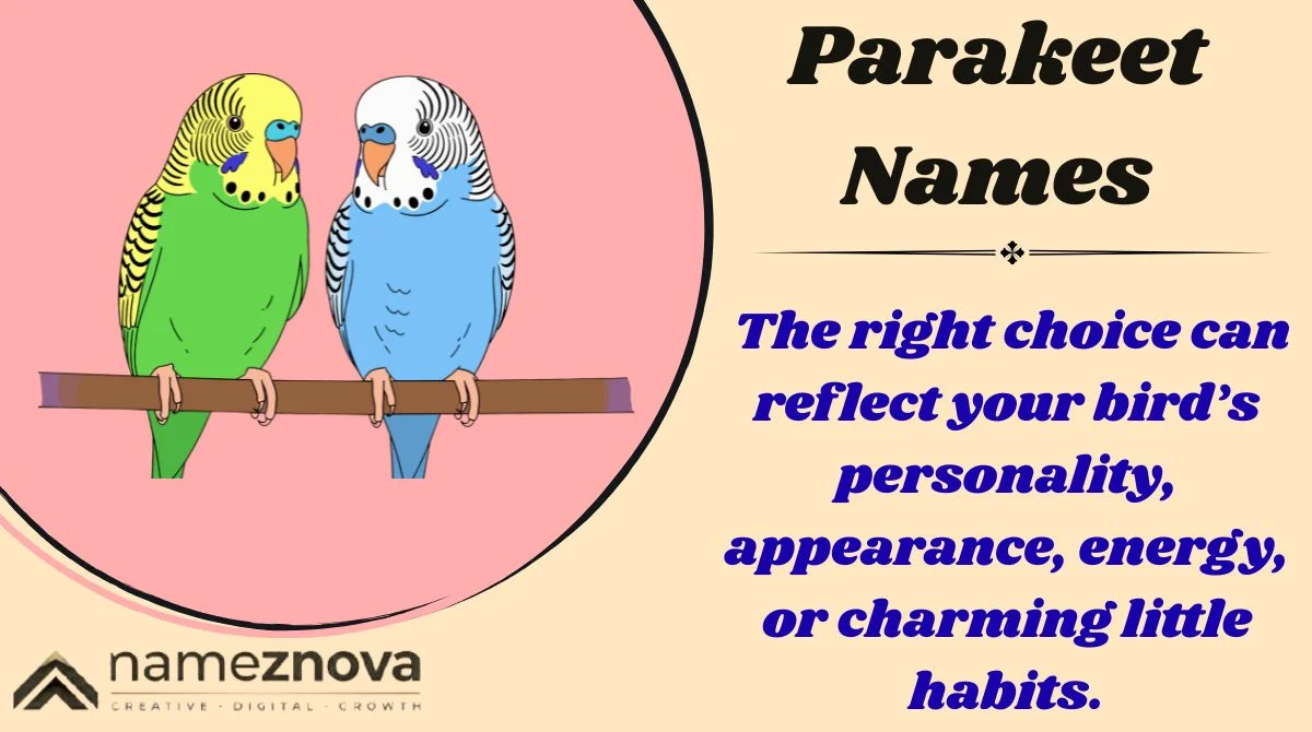 Parakeet Names