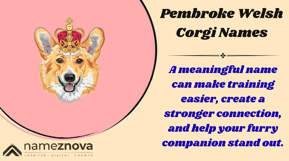 Pembroke Welsh Corgi Names