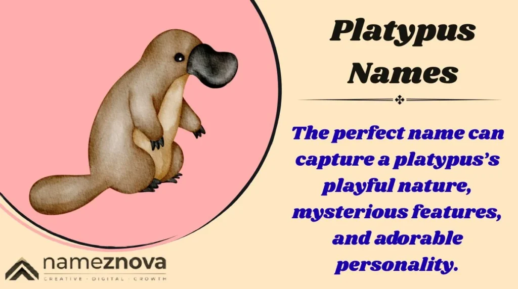 Platypus Names