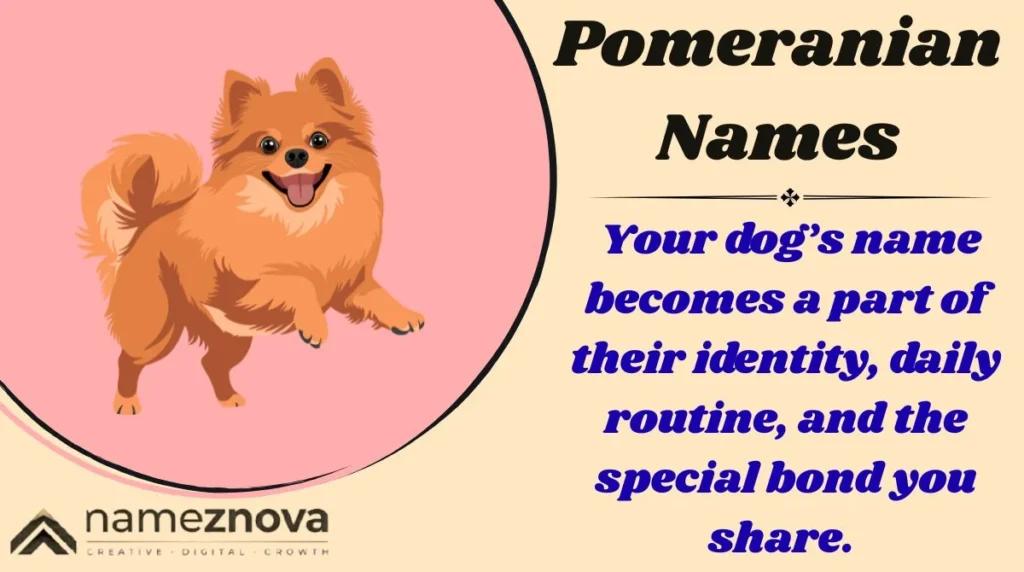 Pomeranian Names