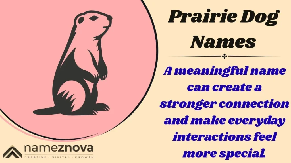 Prairie Dog Names
