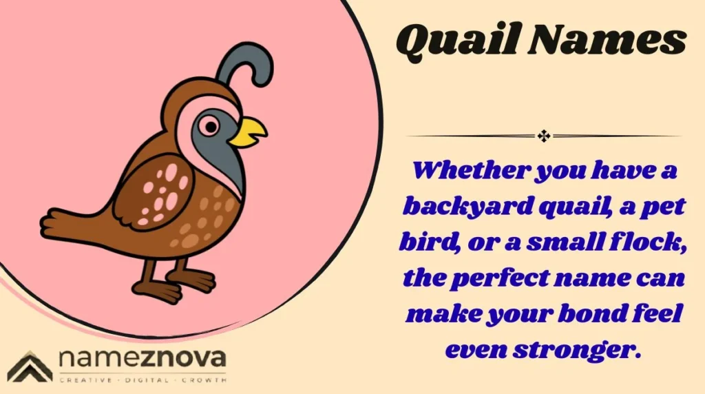 Quail Names