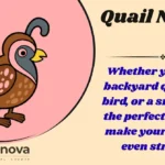 Quail Names