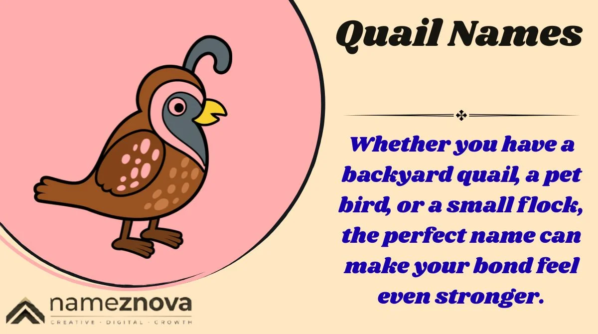 Quail Names
