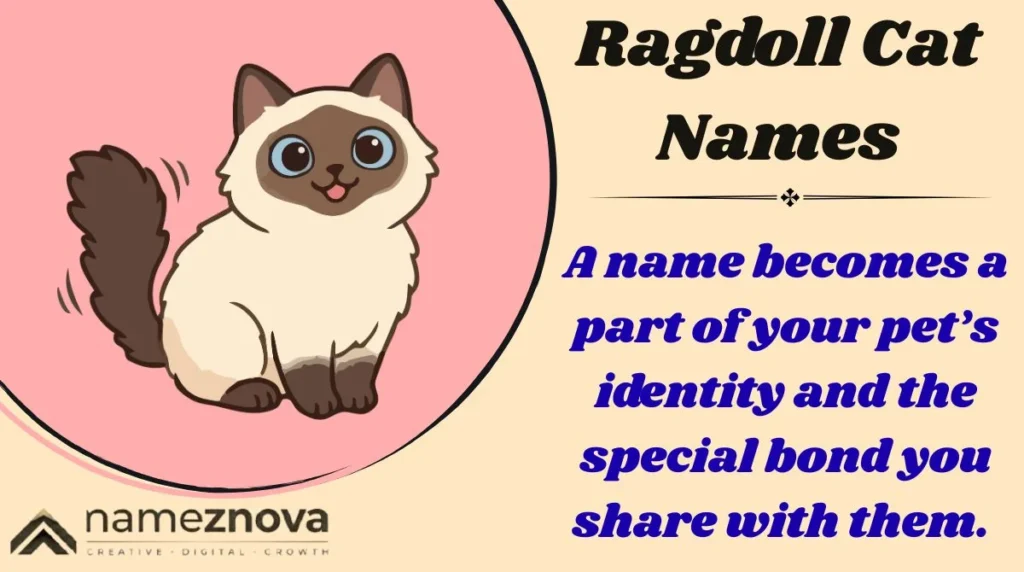 Ragdoll Cat Names